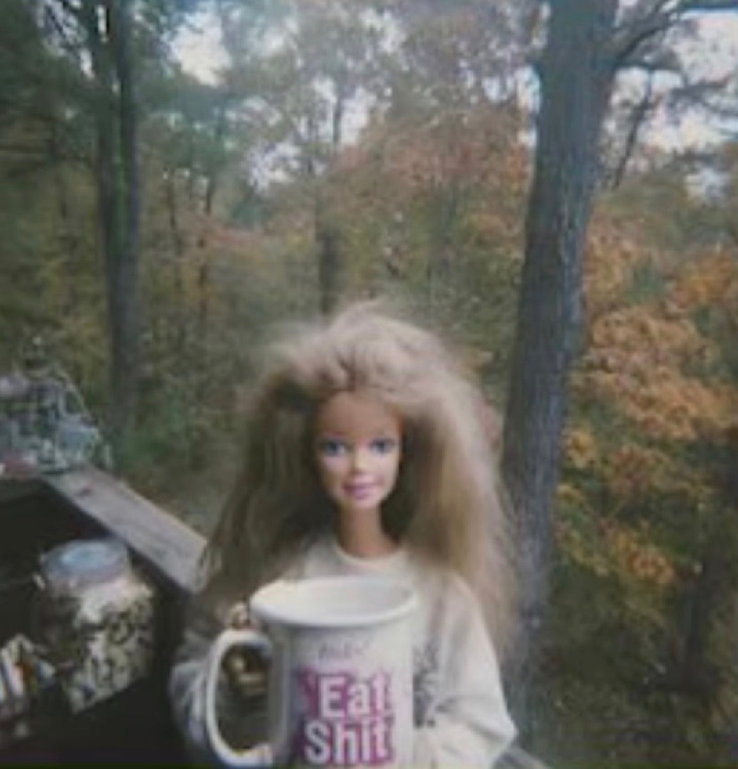 Unhinged Barbie 14