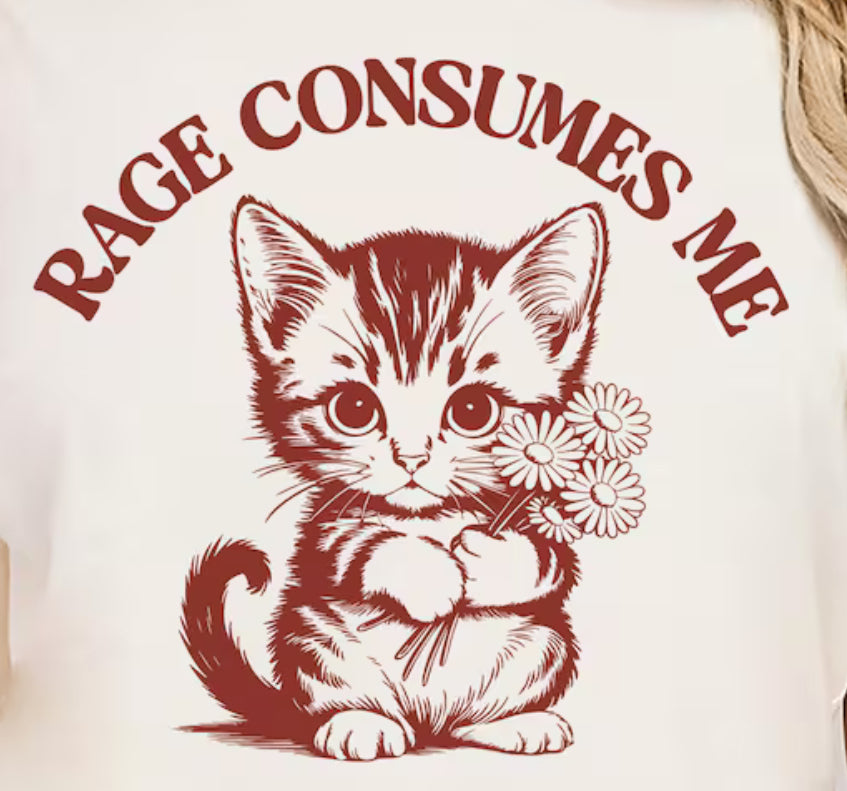 Rage consumes me cat