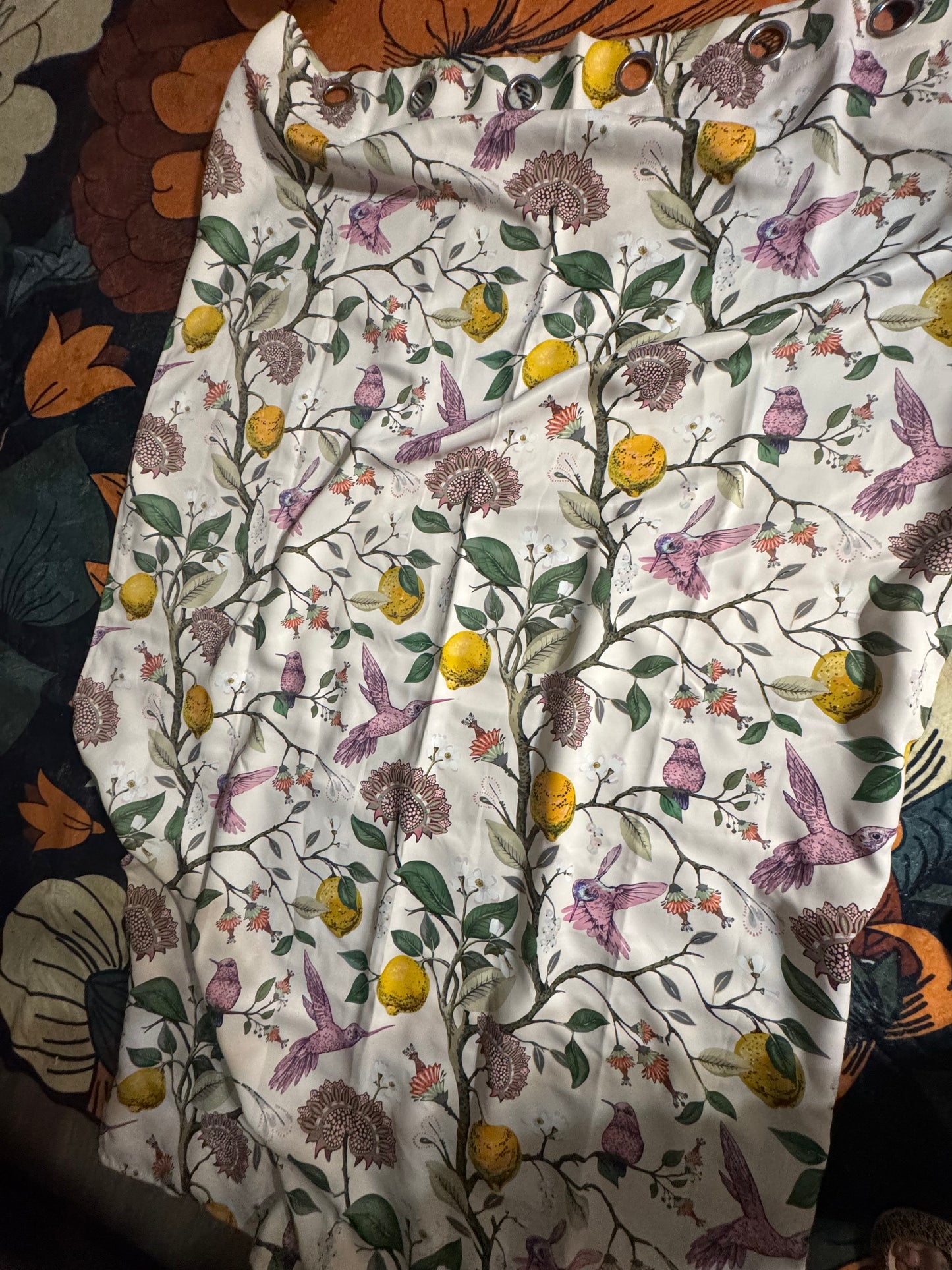 2 curtain panels
