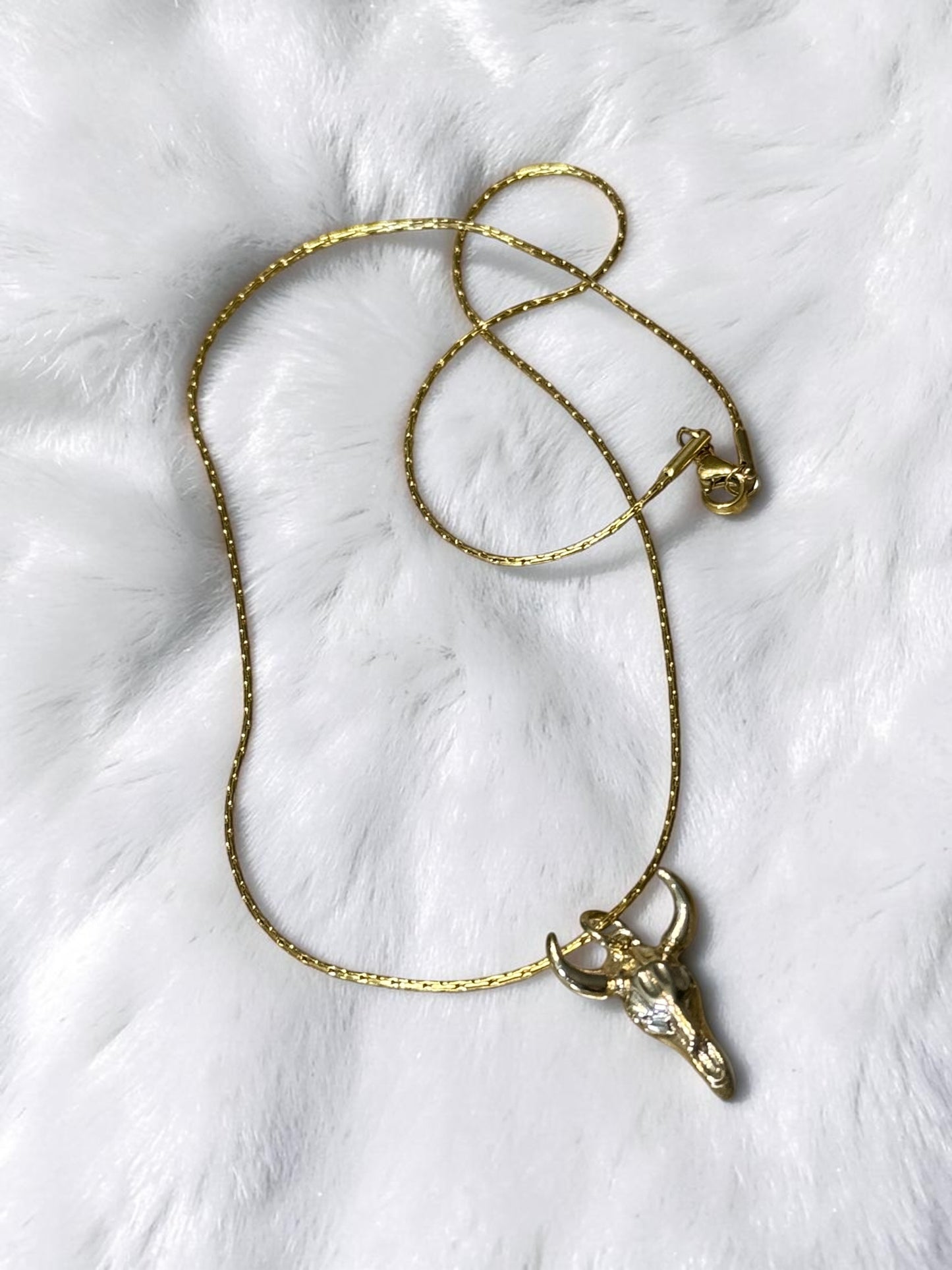 Small Bull horn necklace