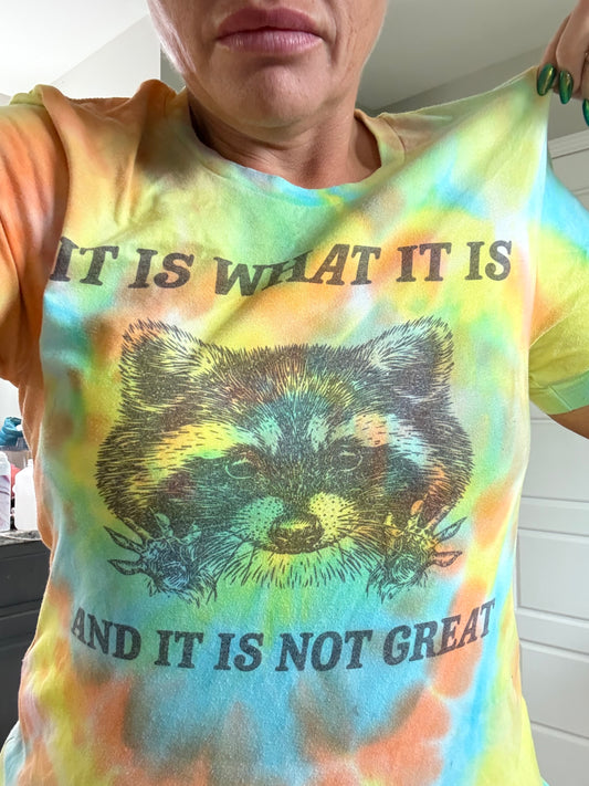 It is what it is