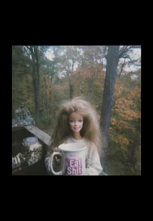 Unhinged Barbie 14