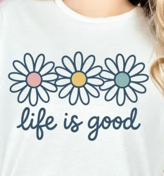 Life is good