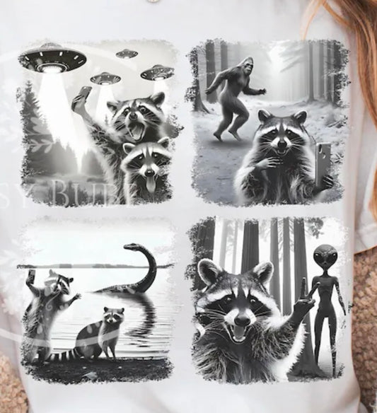 Raccoon ufo