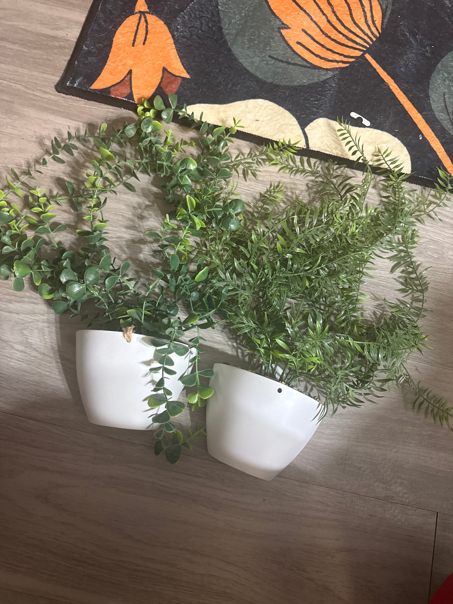 Hanging plants