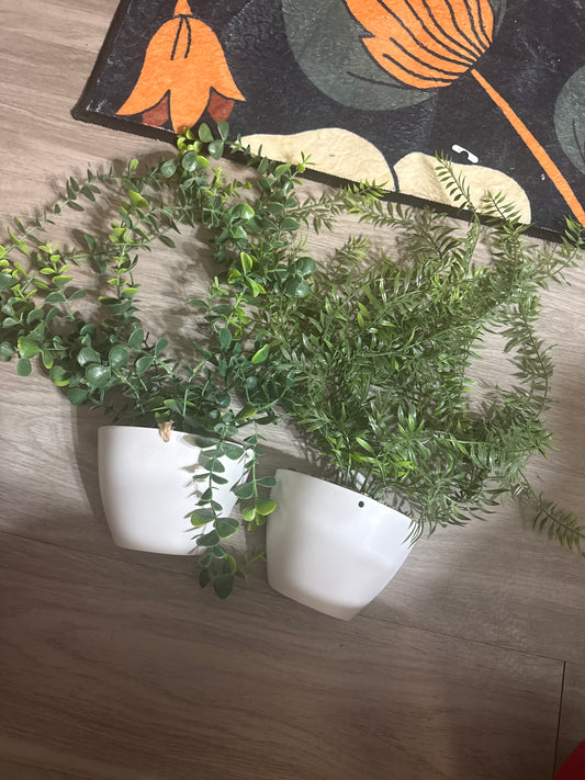 Hanging plants