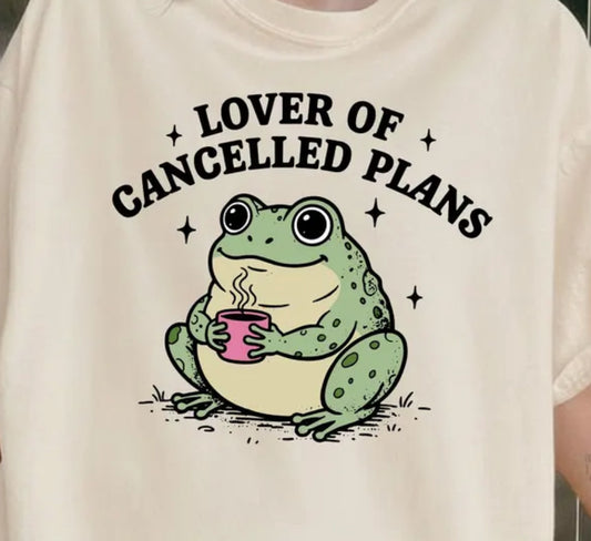 Cancelled plans 1