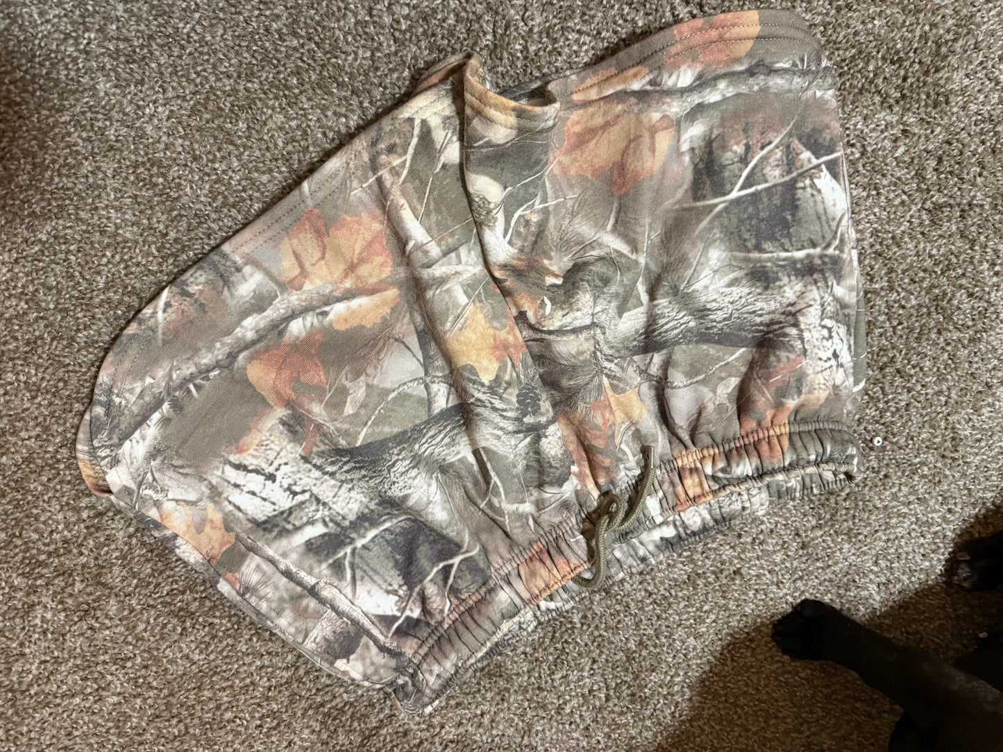 Size xl