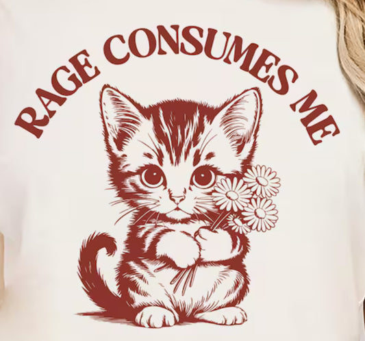 Rage consumes me cat