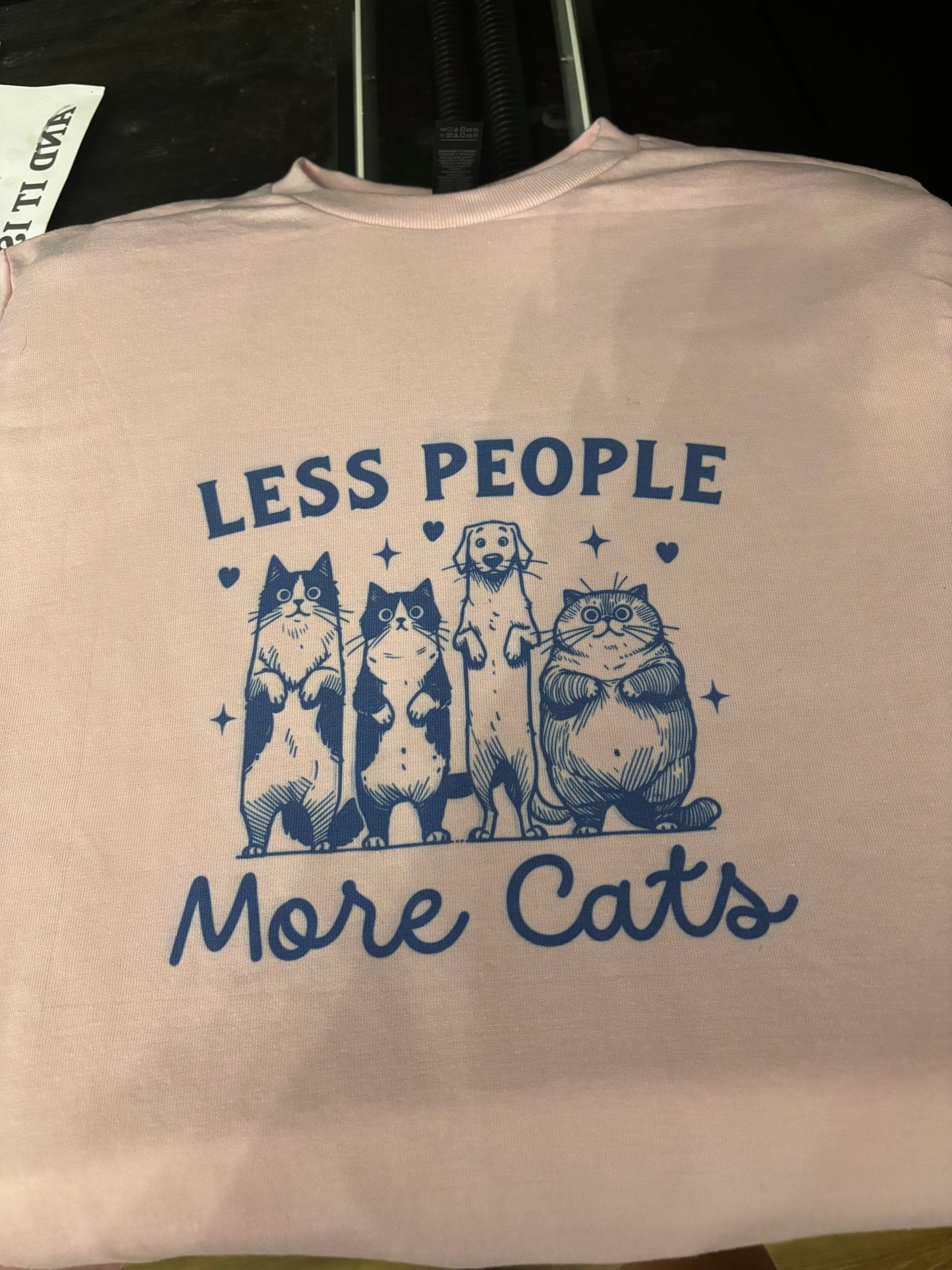 More cats