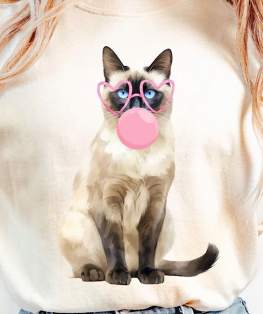 Glasses  cat