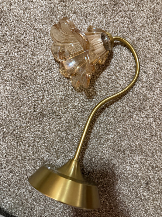 Lamp. Uses c charger.
