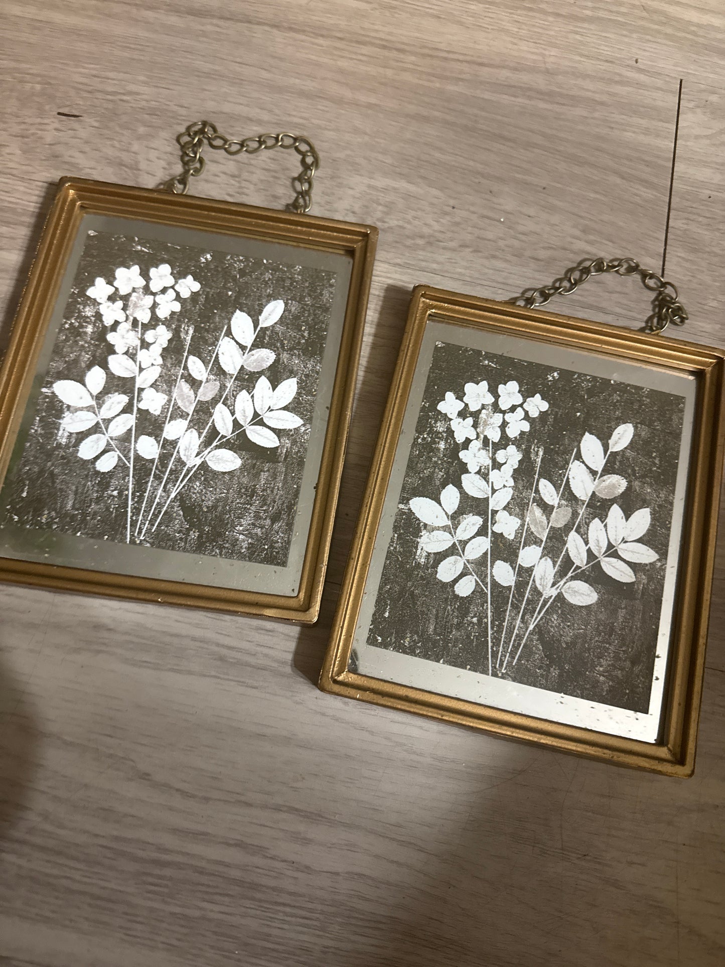 2 mirror prints  prints