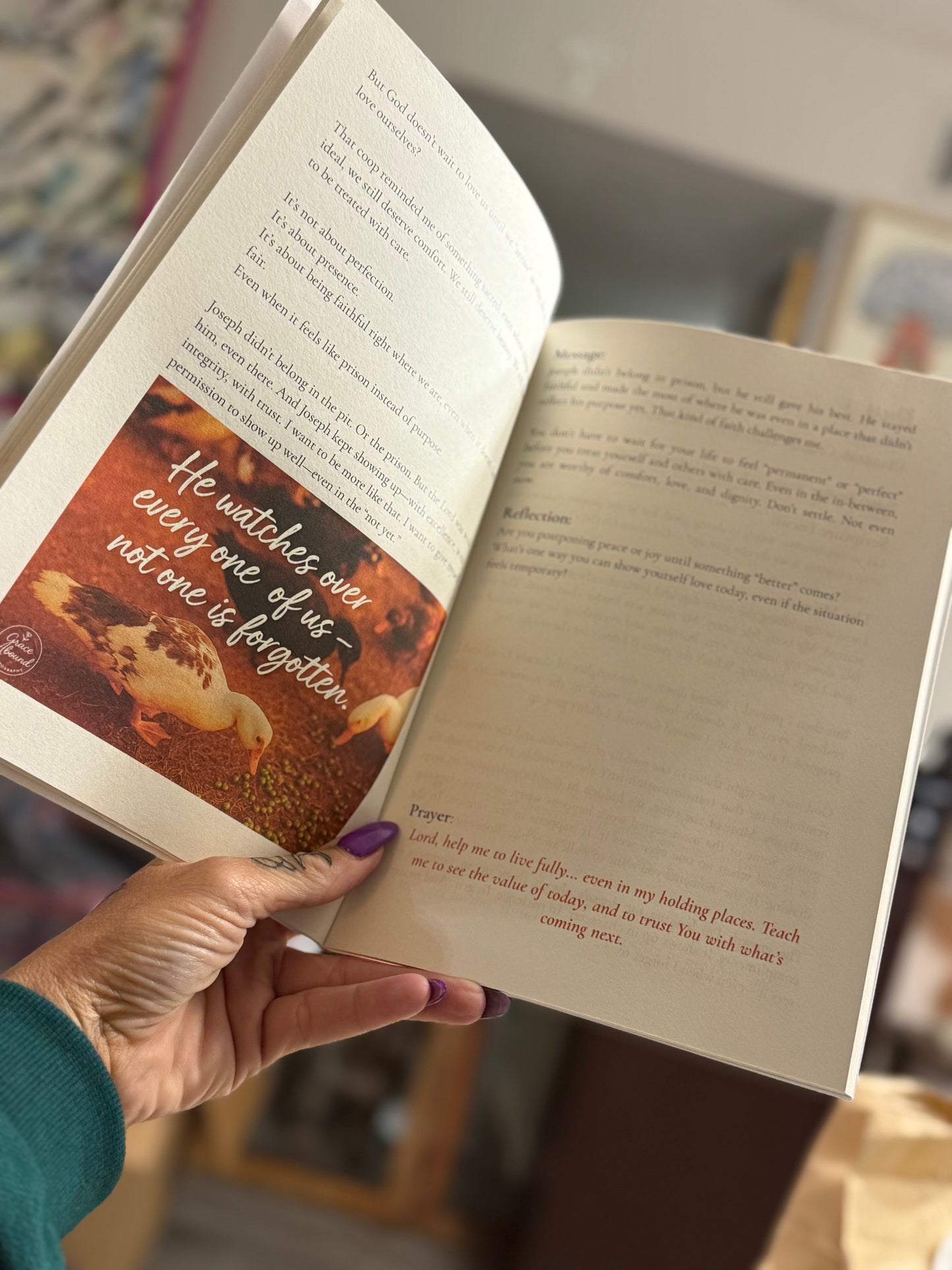 Signed Copy. My Devotional