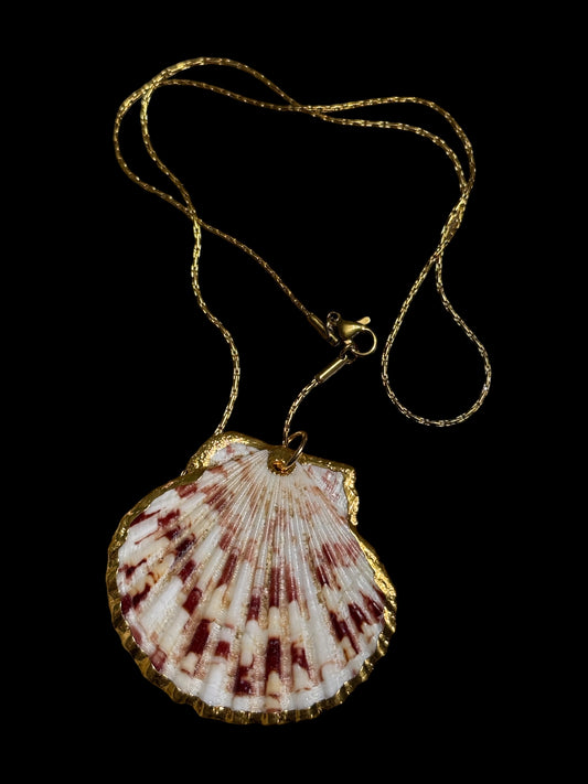 Shell necklace