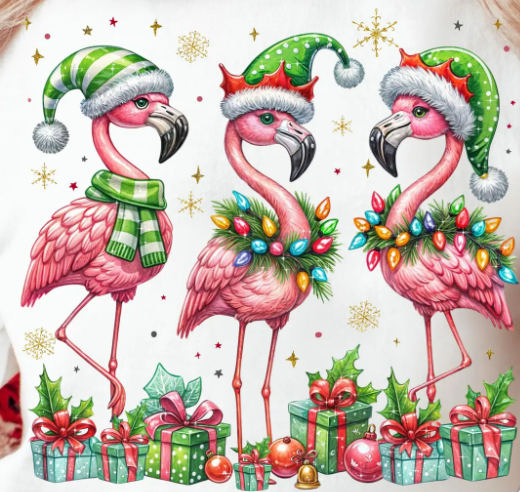 FLAMINGO T-shirt or Sweatshirt